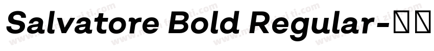 Salvatore Bold Regular字体转换
